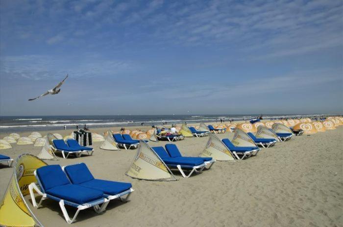 Life@Sea Apartment Zandvoort Exterior photo